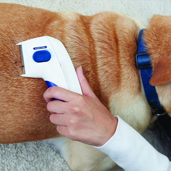 Peine eléctrico perros y gatos