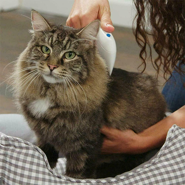 Peine eléctrico perros y gatos