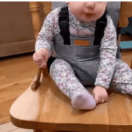 "Cinturon De Seguridad Para Silla