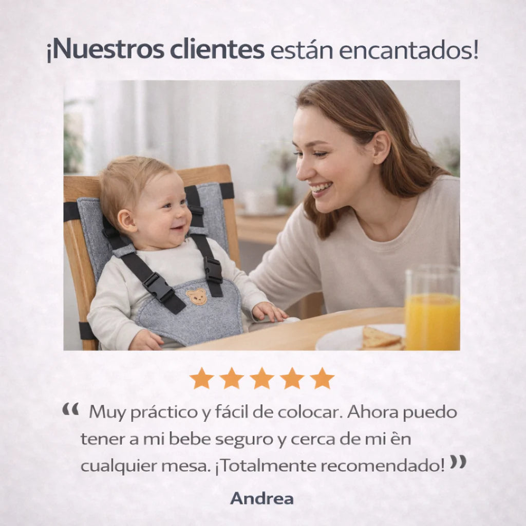 "Cinturon De Seguridad Para Silla