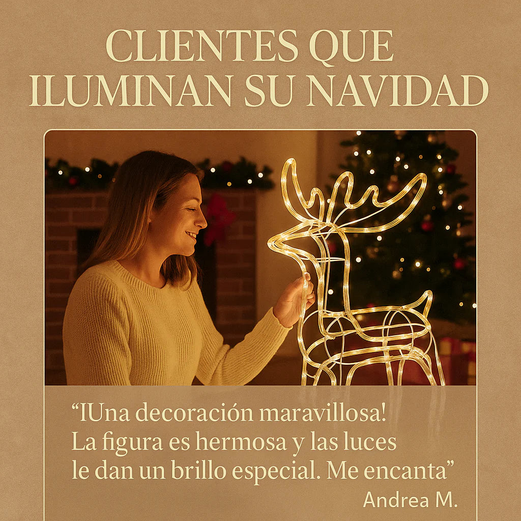Reno Navidad Estructura Metalica - Luz led