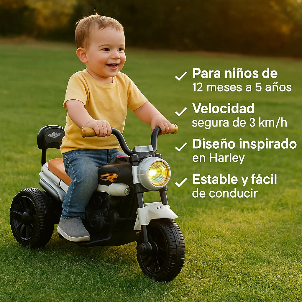 Trimoto Eléctrica Tipo Harley
