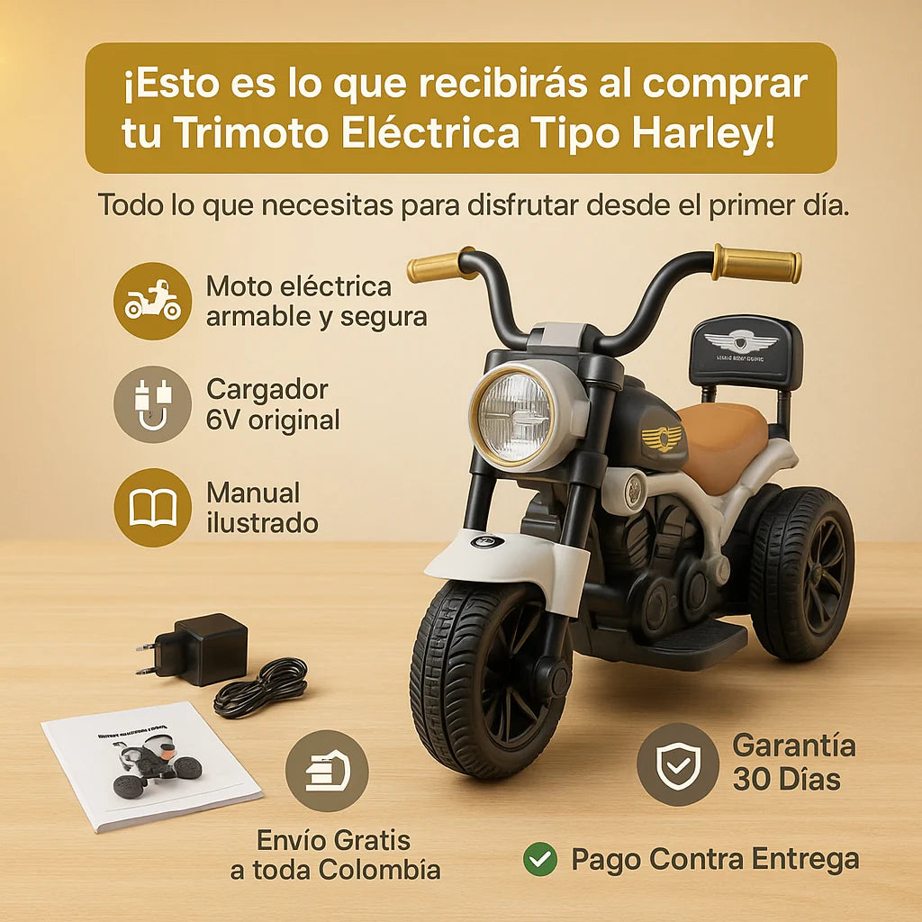 Trimoto Eléctrica Tipo Harley