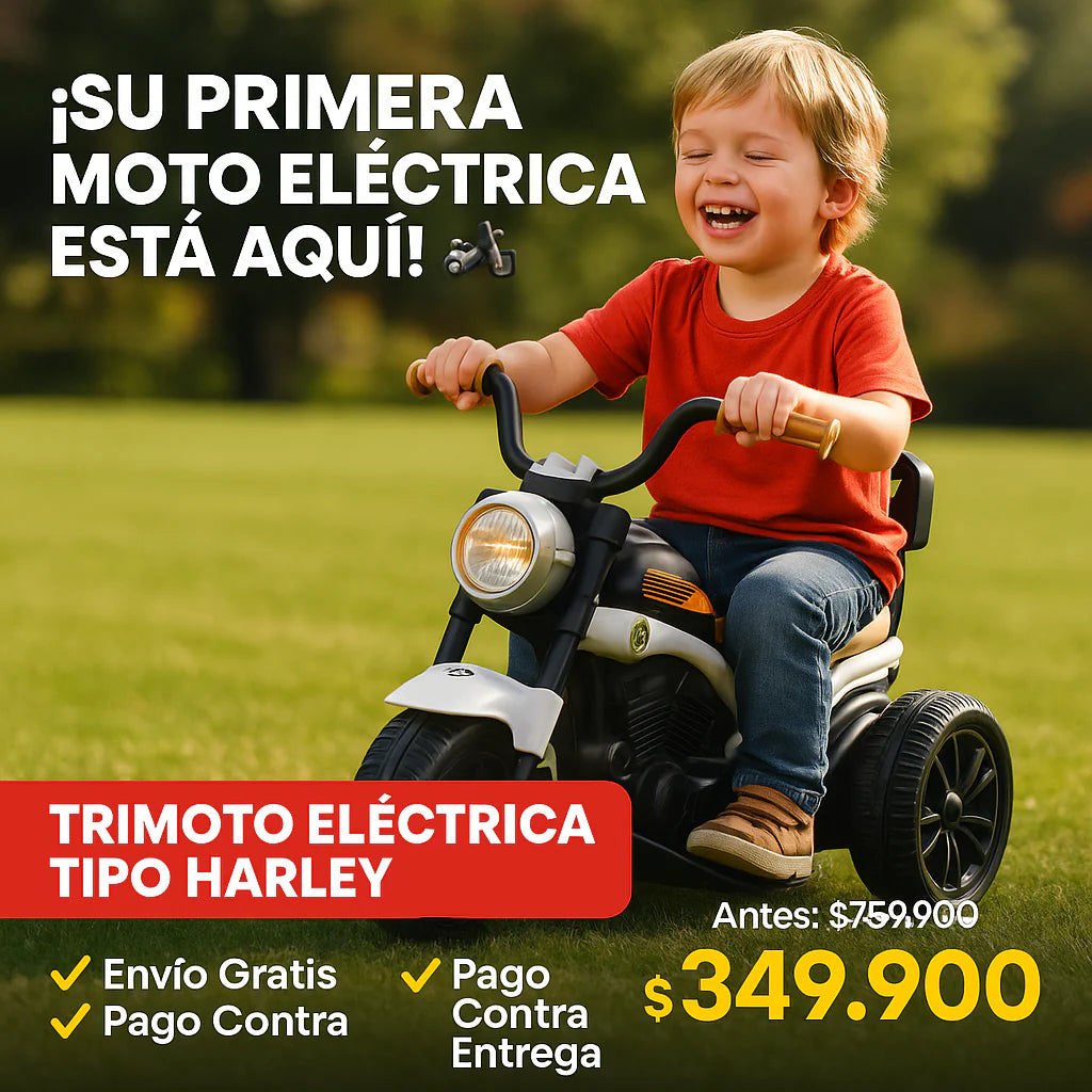 Trimoto Eléctrica Tipo Harley